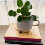 libros sobre apego