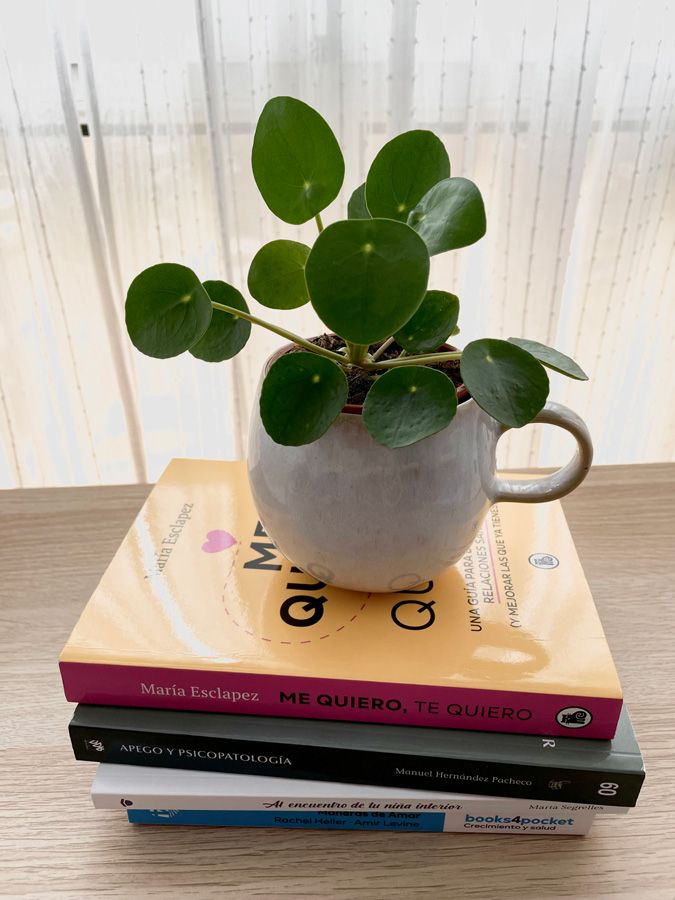 libros sobre apego